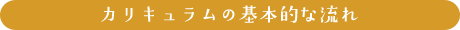 カリキュラムの基本的な流れ